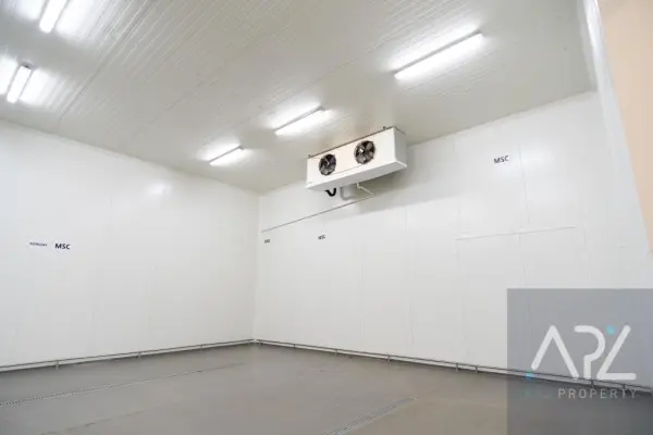 zachodniopomorskie, kołobrzeski, Kołobrzeg, Jasna, KOŁOBRZEG - HALA /CHŁODNIA NA WYNAJEM