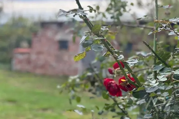 kołobrzeski, Kołobrzeg, Karcino, DOM W KARCINIE Z POTENCJAŁEM! BLISKO JEZIORA!
